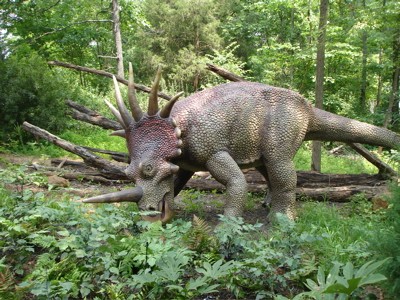 Styracosaurus DWD001