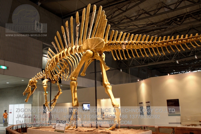 skeleton spinosaurus