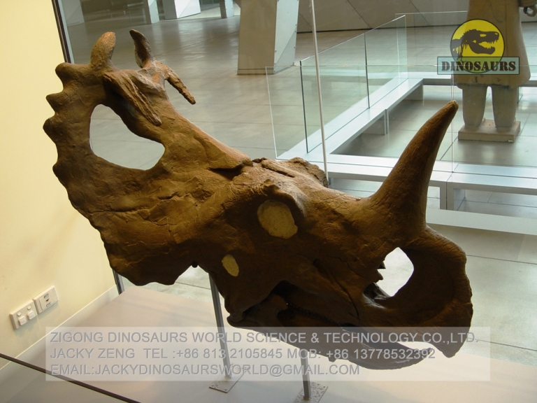 triceratops head plate
