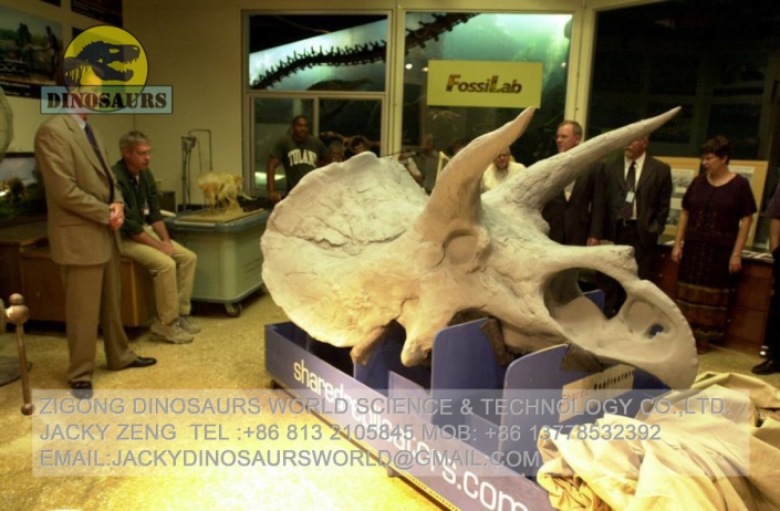 triceratops head plate