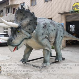 DWD234 Triceratops